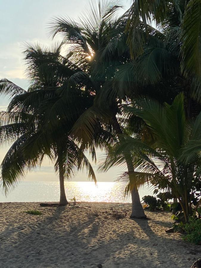 Anda Di Hows Hostel Placencia Eksteriør bilde