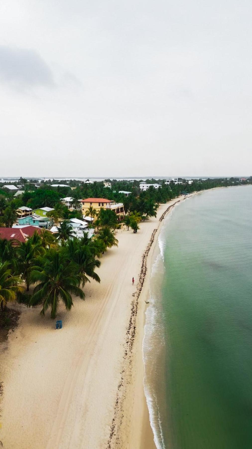 Anda Di Hows Hostel Placencia Eksteriør bilde