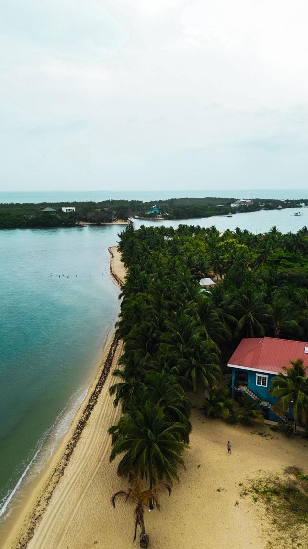 Anda Di Hows Hostel Placencia Eksteriør bilde