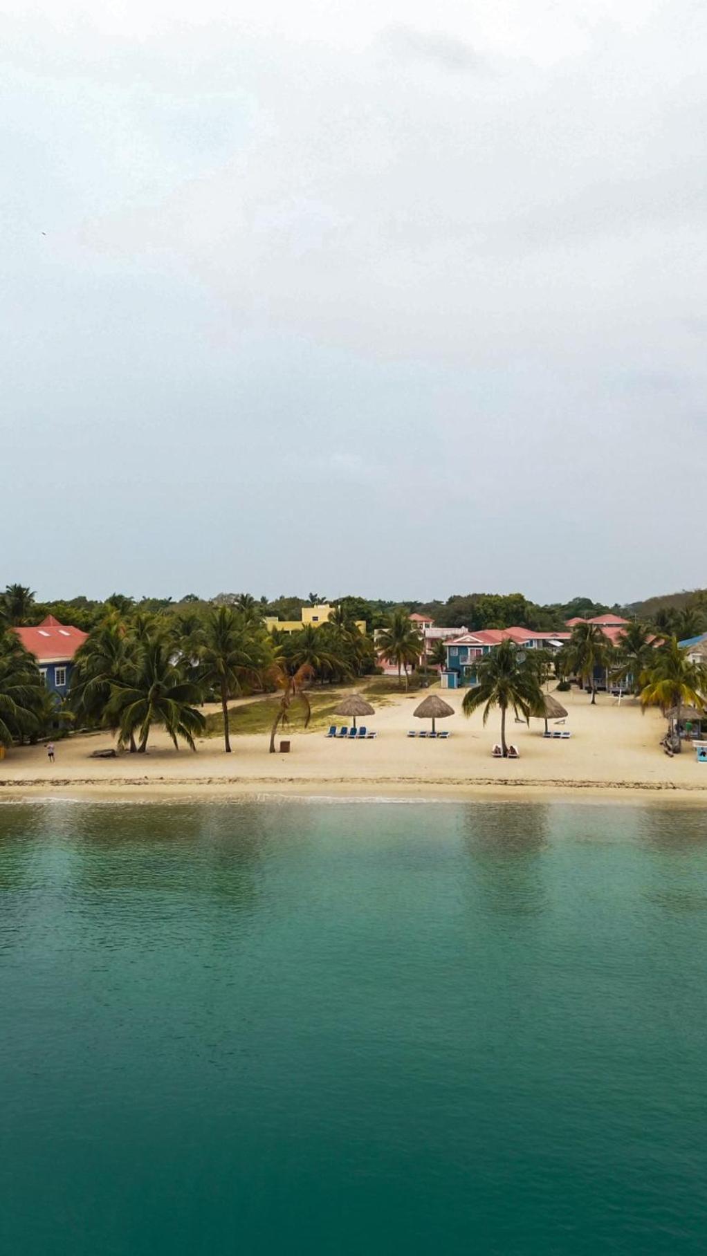 Anda Di Hows Hostel Placencia Eksteriør bilde