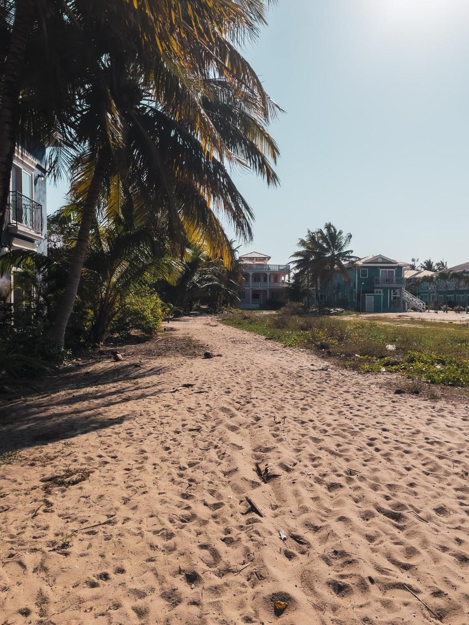 Anda Di Hows Hostel Placencia Eksteriør bilde