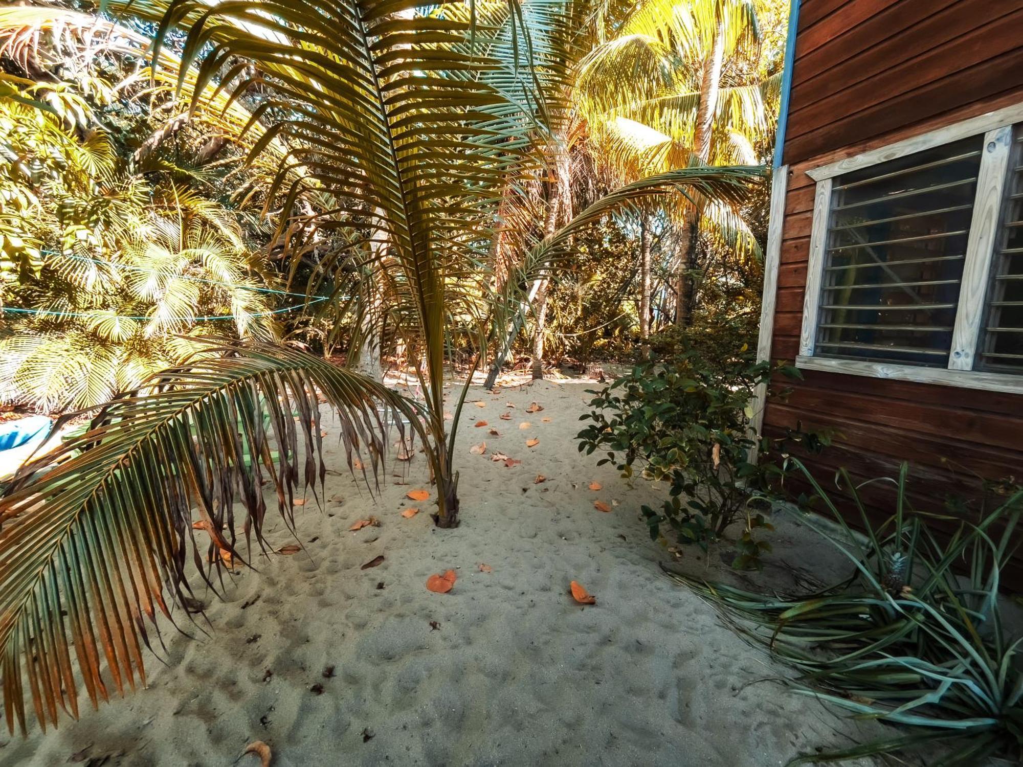 Anda Di Hows Hostel Placencia Eksteriør bilde