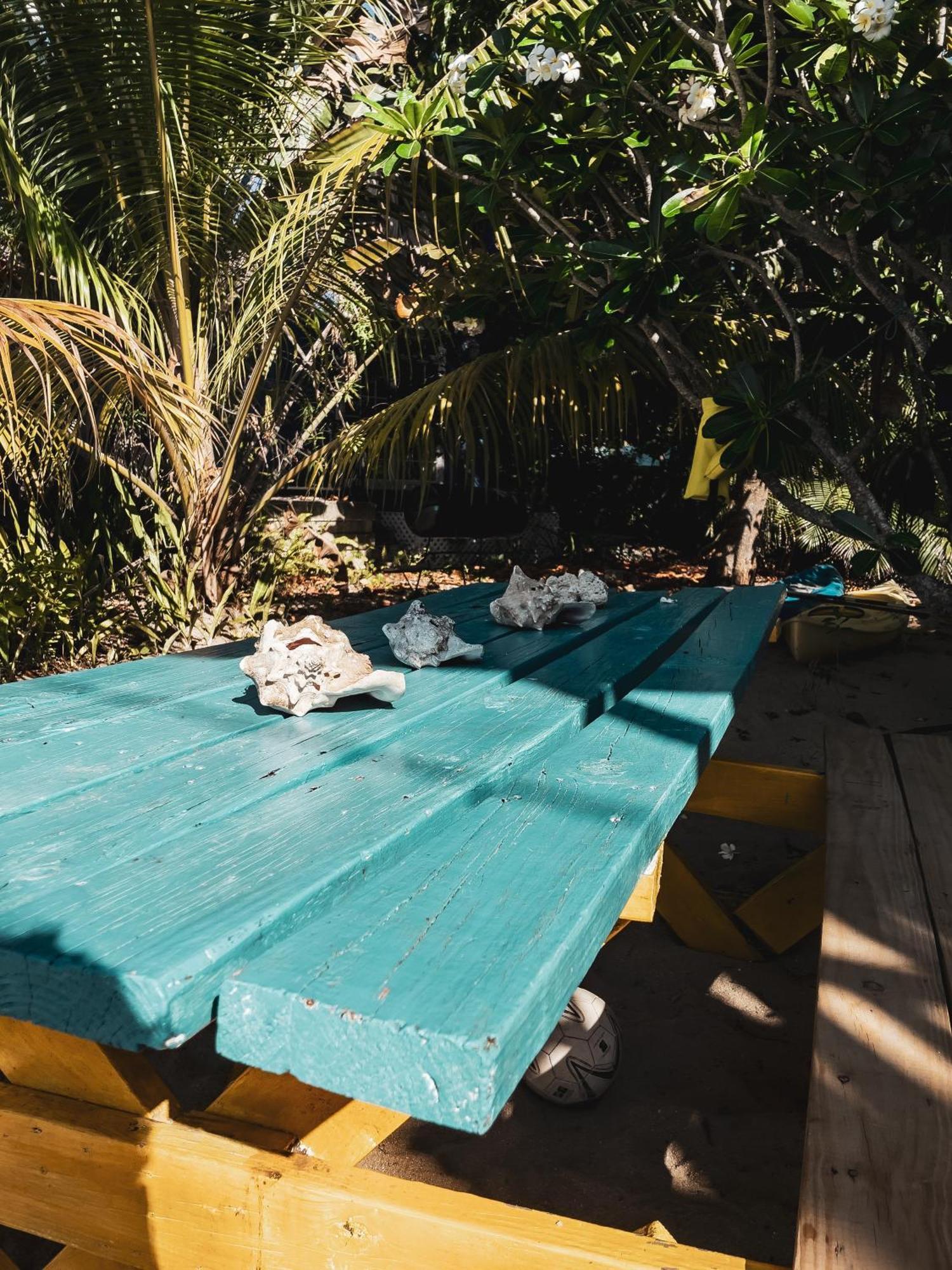 Anda Di Hows Hostel Placencia Eksteriør bilde