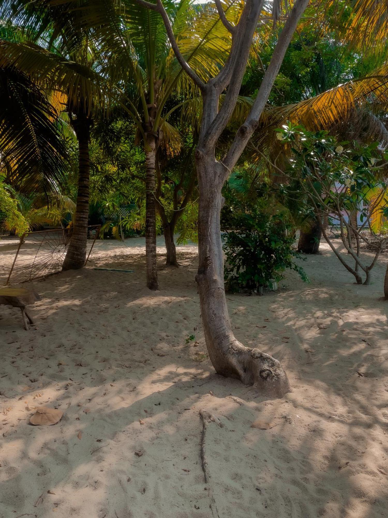 Anda Di Hows Hostel Placencia Eksteriør bilde