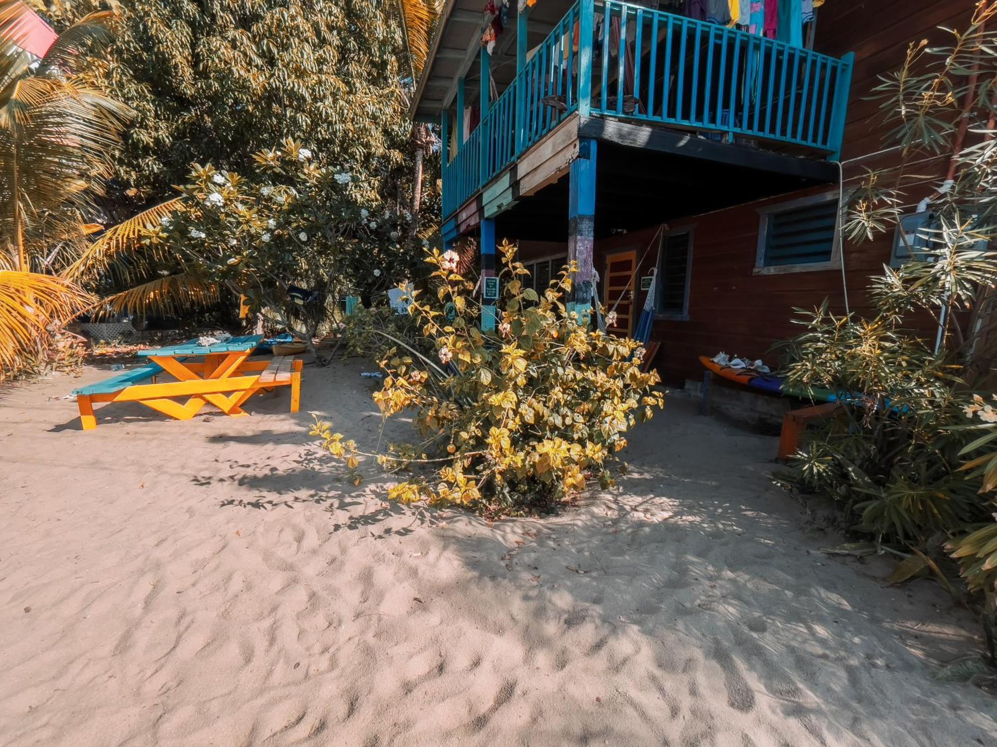 Anda Di Hows Hostel Placencia Eksteriør bilde