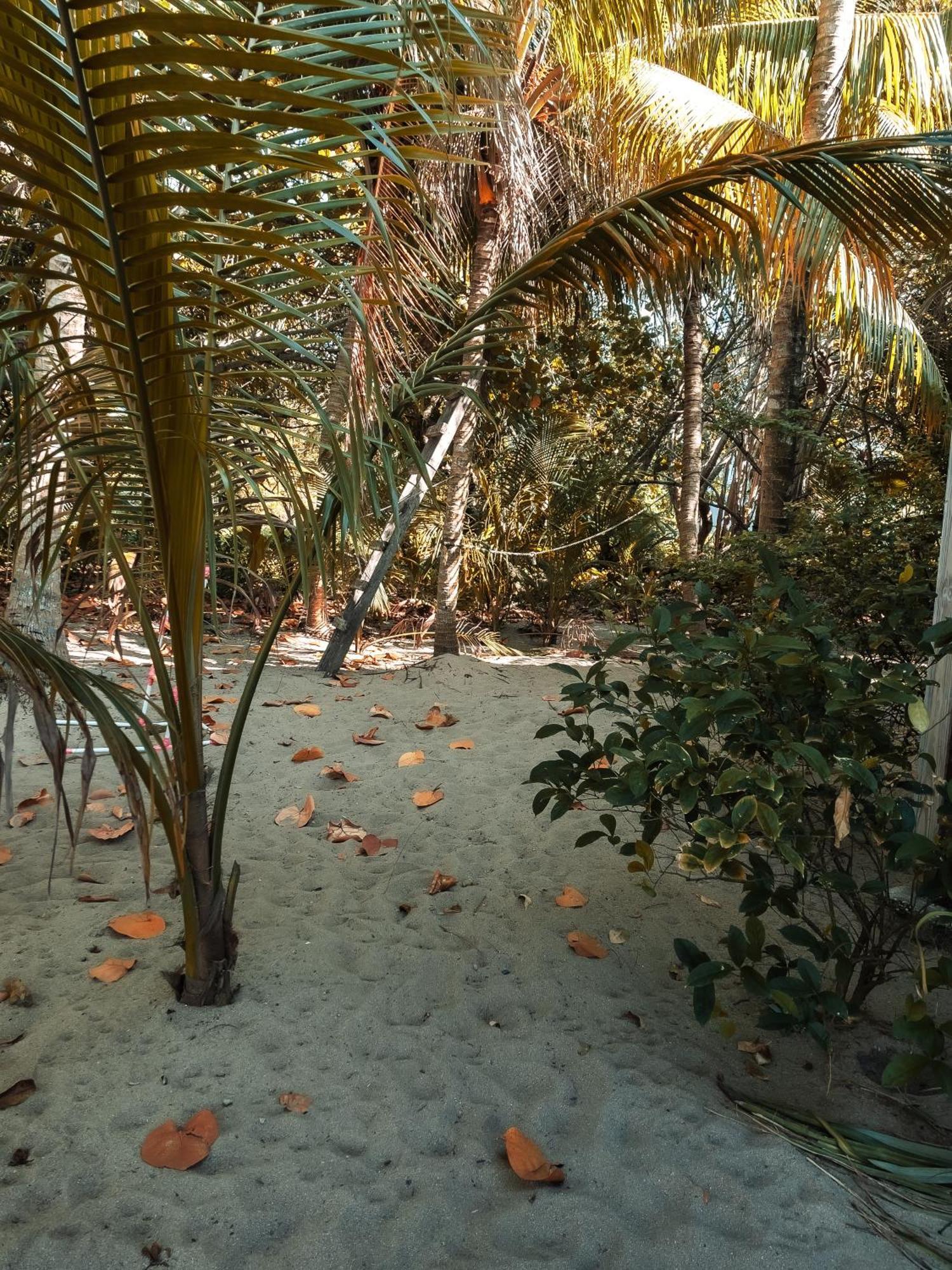 Anda Di Hows Hostel Placencia Eksteriør bilde
